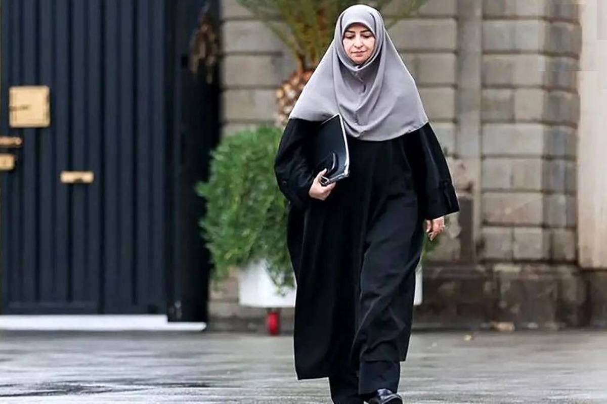 رئیس سازمان حفاظت محیط زیست به برزیل سفر می‌کند