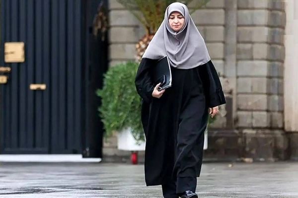 رئیس سازمان حفاظت محیط زیست به برزیل سفر می‌کند