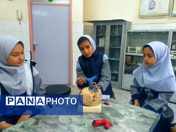 برگزاری کلاس‌های علمی و پژوهشی در پژوهشسرای بوعلی سینا شهرستان ملارد