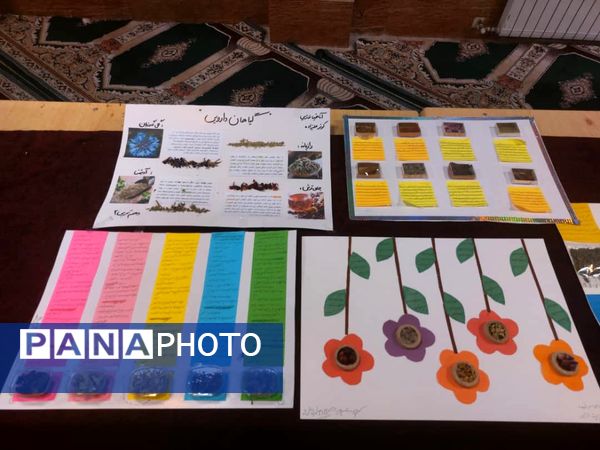 برگزاری نمایشگاه گیاهان دارویی در دبیرستان شاهد شهدای اقتدار ملارد 