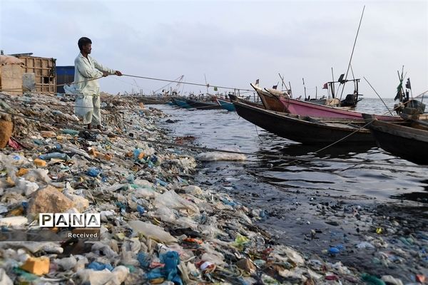 زندگی پلاستیکی، مرگ طبیعت