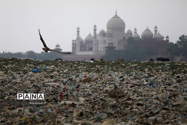 زندگی پلاستیکی، مرگ طبیعت