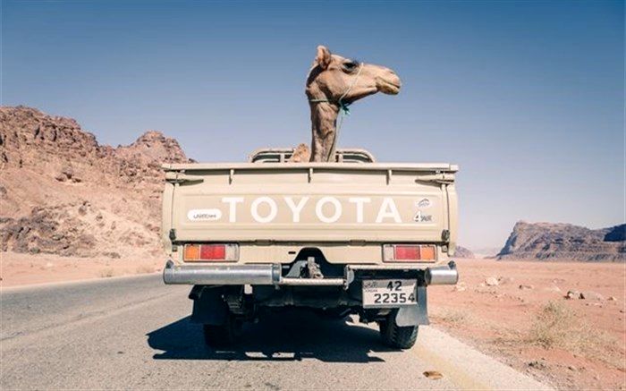 حمل شتر با کامیون در عکس روز نشنال جئوگرافیک