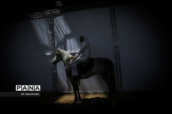 نمایشگاه بین المللی اسب