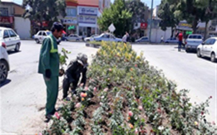 عطر تابستان با کاشت گل های دایمی و فصلی در شهر همدان
