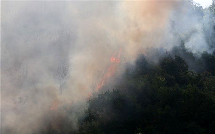 حدود ۱۵ هکتار عرصه‌های جنگلی کلاله در آتش سوخت