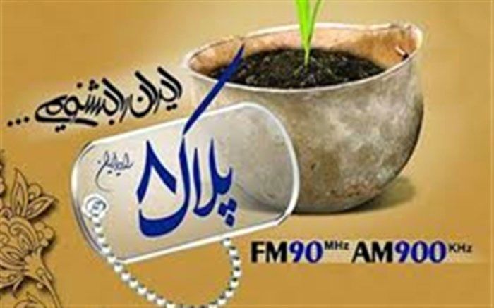 جانشین دبیر دومین جشنواره«ملی ایثار» در «پلاک هشت»