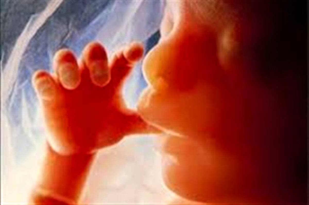 مراجعه 545 نفر در بهار امسال برای دریافت مجوز سقط جنین در استان تهران