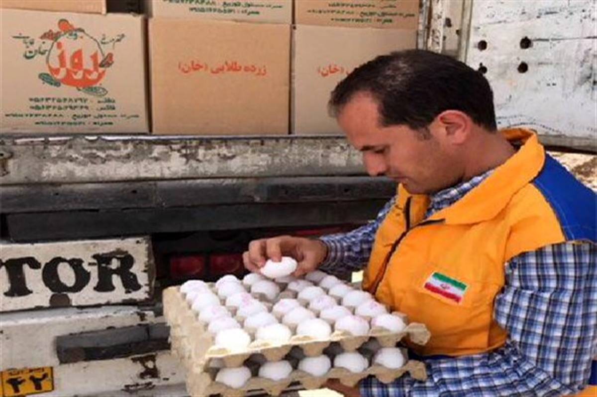 نظارت بر خروج بیش از600 تن تخم مرغ خوراکی به داخل وخارج از استان