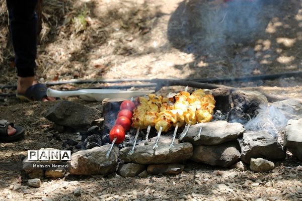 حاشیه‌های اردوی پیشتازان