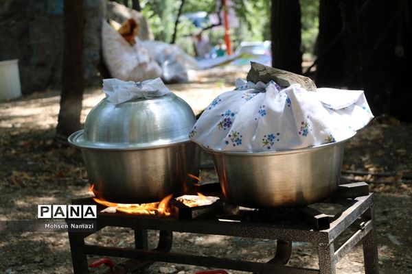 حاشیه‌های اردوی پیشتازان