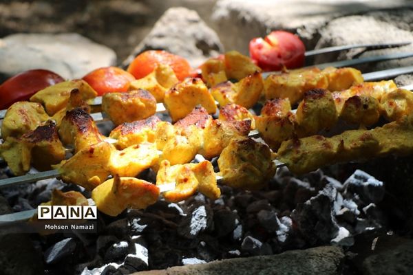 حاشیه‌های اردوی پیشتازان