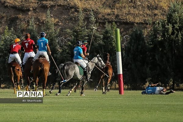 رونمایی از سند ثبت جهانی چوگان