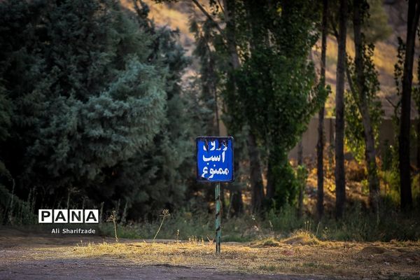 رونمایی از سند ثبت جهانی چوگان