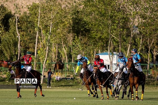 رونمایی از سند ثبت جهانی چوگان