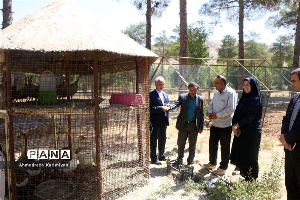 ایجاد باغ پرندگان در اردوگاه شهید آیت الله دستغیب شیراز