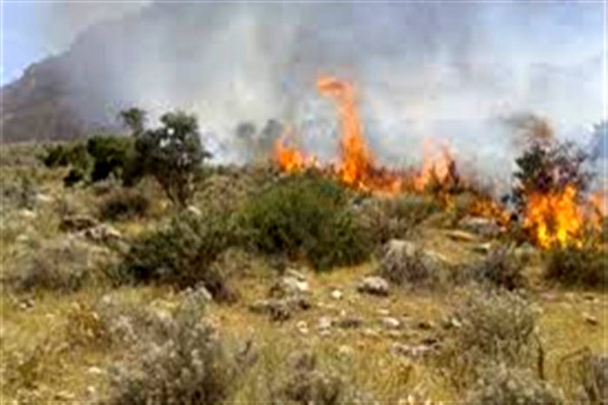 6 هکتار از باغ‌ها و اراضی طبیعی شهرستان‌های ساوه و اراک در آتش سوخت
