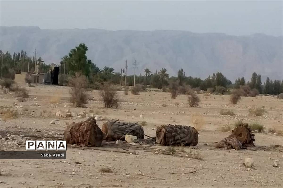 مشاور امور بین‌الملل وزیر نیرو:‌ پیگیری طرح تاسیس مرکز پایش منطقه‌ای خشکسالی جنوبغرب آسیا در ایران