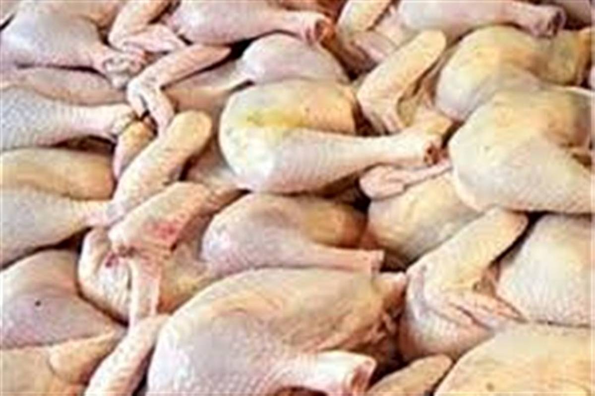 کشف 6 تن مرغ فاسد در شهرستان فراهان