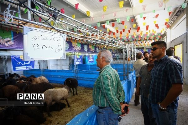 بازار خرید و فروش دام در آستانه عید قربان