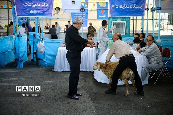 بازار خرید و فروش دام در آستانه عید قربان