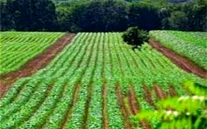 تولید محصولات کشاورزی اردبیل یک و نیم میلیون تن افزایش پیدا می‌کند