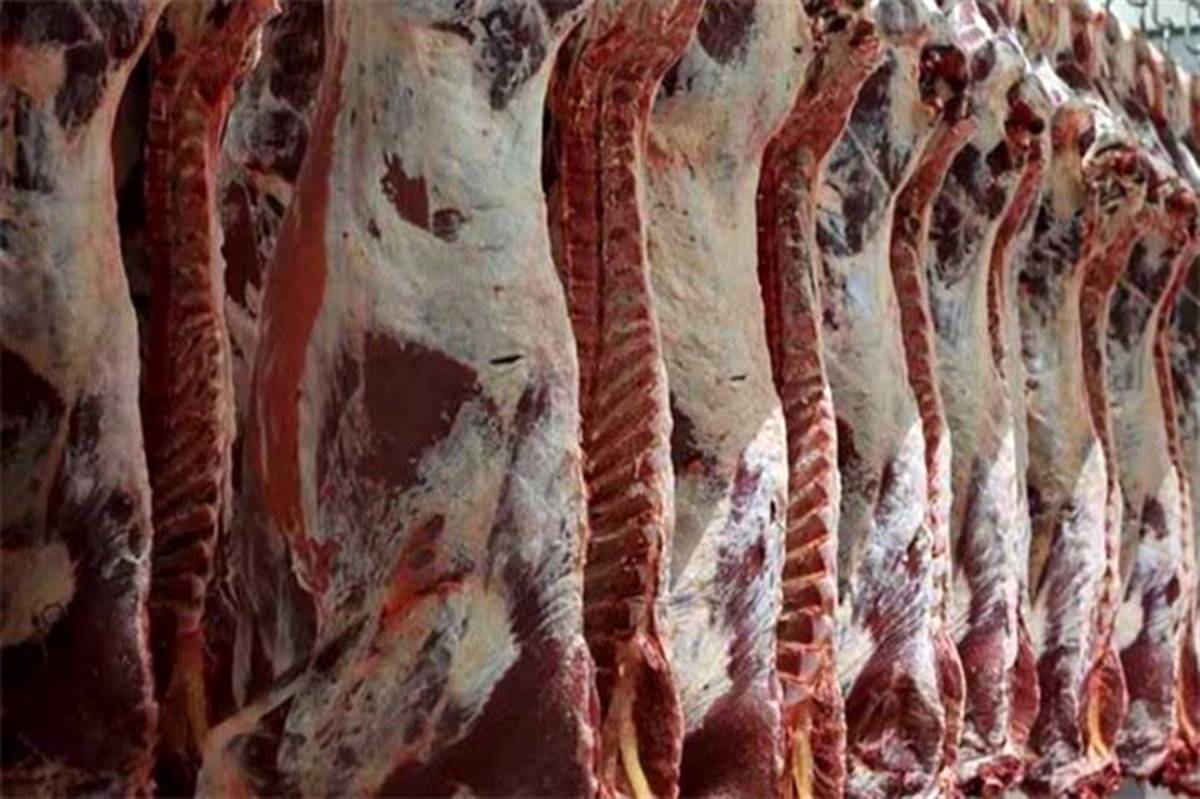 قیمت خرده فروشی هر کیلوگرم گوشت گوساله منجمد حداکثر ۲۹ هزار تومان است