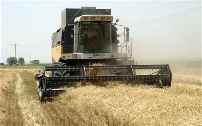 ۳۳ هزار تن گندم از کشاورزان شهرستان تاکستان خریداری شد