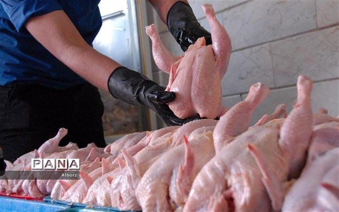 رئیس­ اتحادیه فروشندگان پرنده و ماهی:‌  قیمت مرغ آماده طبخ کاهش یافت