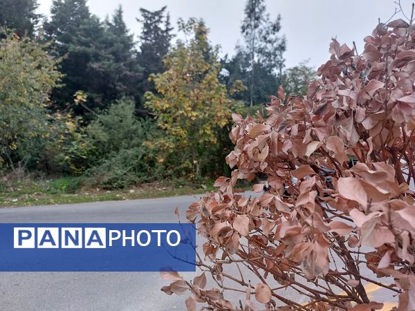 کردکوی، سرسبزترین شهرستان گلستان