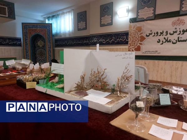 برگزاری نمایشگاه گیاهان دارویی در دبیرستان شاهد شهدای اقتدار ملارد 