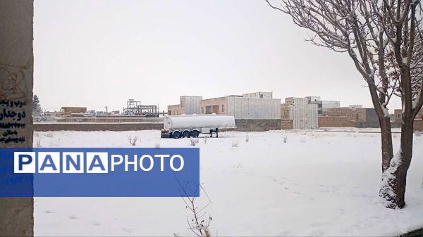 شازند سفیدپوش شد