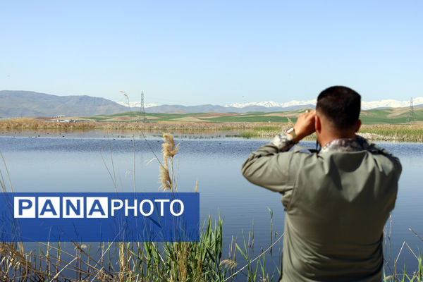 تور رسانه‌ای بازدید از تالاب‌های حوضه آبریز دریاچه ارومیه