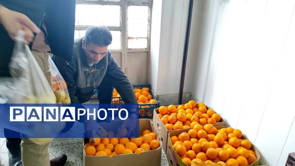 اهدای میوه به دانش‌آموزان نیازمند توسط دبیرستان شاهد ابوذر غفاری نیشابور 