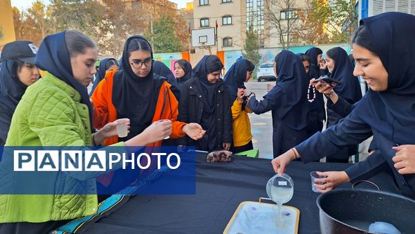 موکب مادر پهلو شکسته