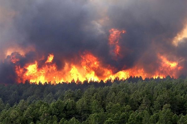 برخی از آتش‌‌سوزی‌ جنگل‌های لرستان عمدی است