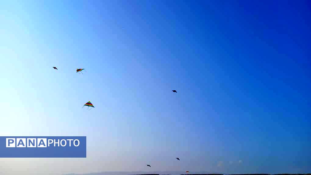 پرواز بادبادکها در روز کودک
