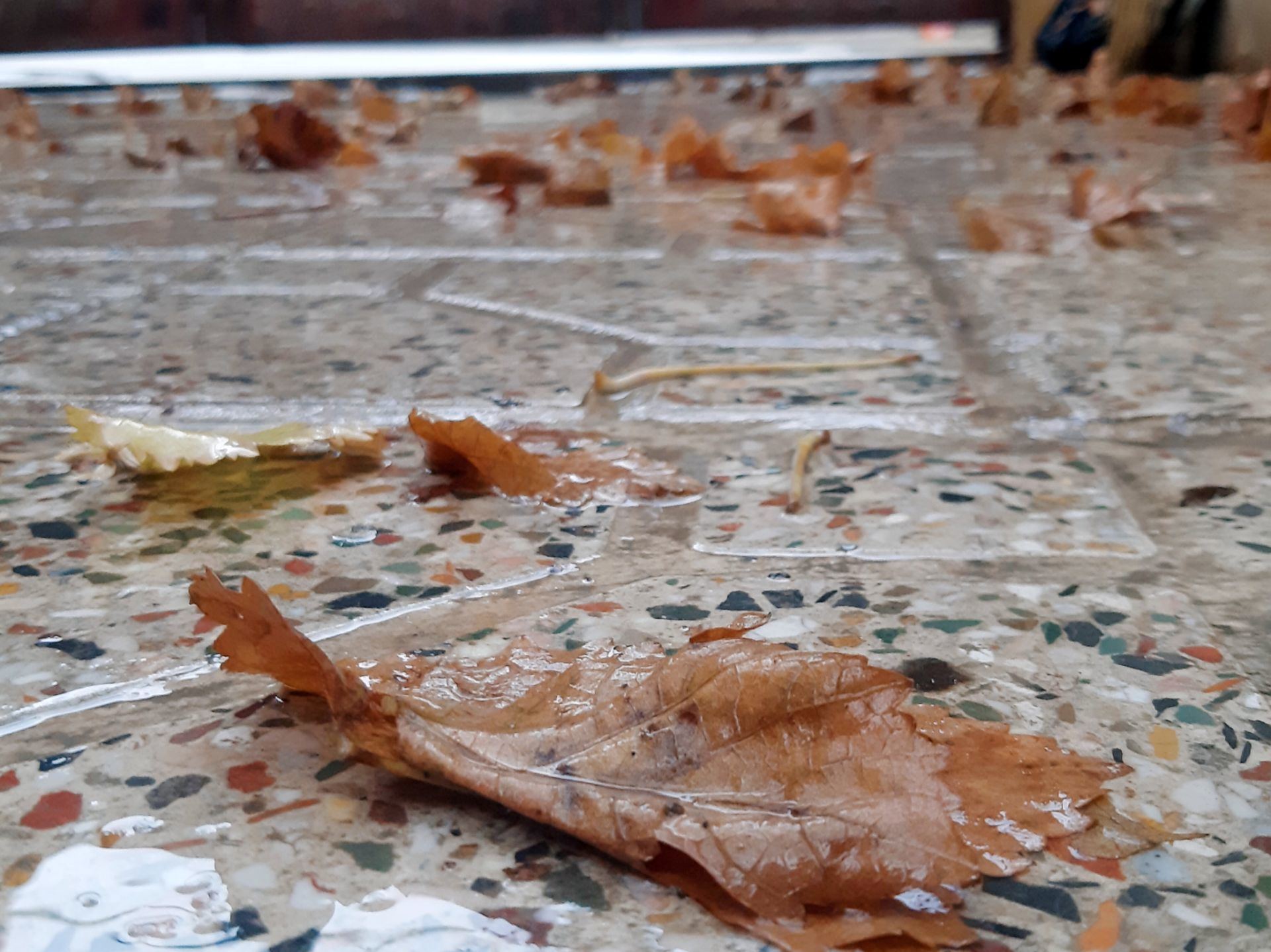 لردگان زیر باران، طراوت زمستانی در دل کوهستان