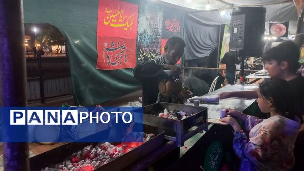 جاماندگان اربعین سفر به کربلا با دل و جان 
