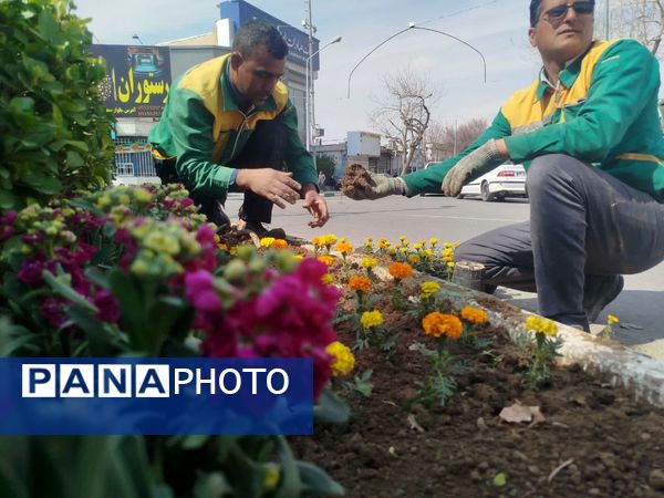 رنگ بلوارهای کاشمر عوض شد