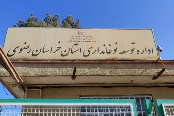 کرم ابریشم منبع درآمد و امید کشاورزان تربت حیدریه 