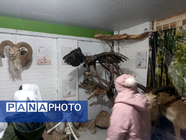 بازدید دبستان دخترانه شاهد۲ حضرت رقیه(س)، از موزه حیات وحش شیروان