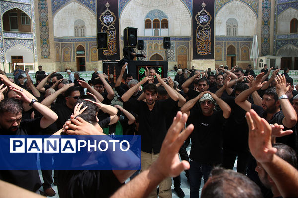 جلوهایی از عزاداری روز تاسوعا در حرم حضرت معصومه(س)