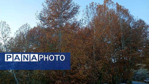 نگاهی کوتاه به طبیعت پاییزی امامزاده بابا پیر احمد (ع) شهرستان بن 