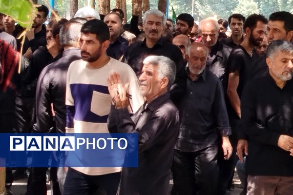 شکوه عزاداران رضوی در لردگان