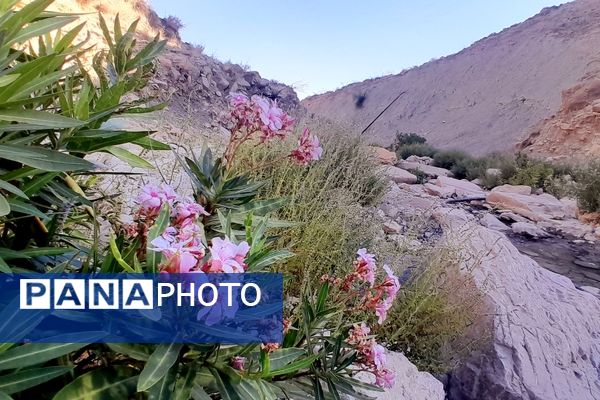 روستای برد‌زرد نگینی غریب در شهرستان لنده