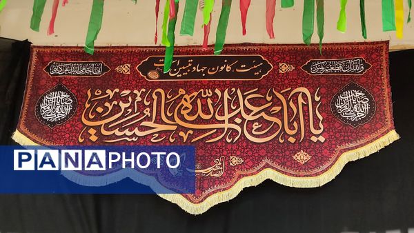 پرستو بی‌نام  در آشیانه شهر دستنا 