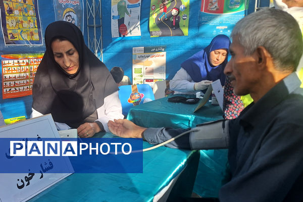 همایش پیاده‌روی خانوادگی در شیراز 
