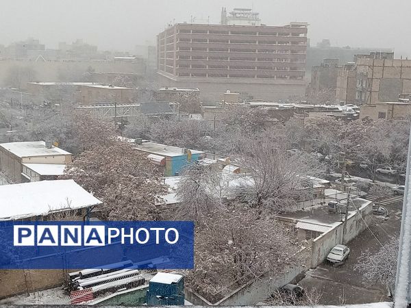 بارش برف در مشهد