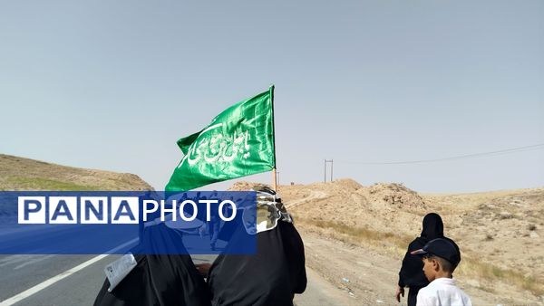 پیاده روی زائران امام رضا(ع) از ملک آباد تا مشهد 